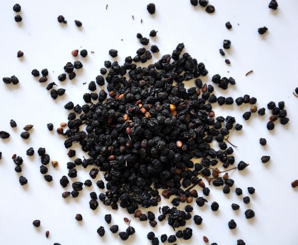 Elder Berries